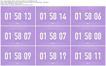 cams-ff_mur-11-22-2025-08-26-42