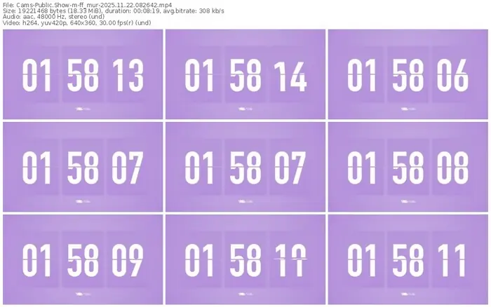 cams-ff_mur-11-22-2025-08-26-42