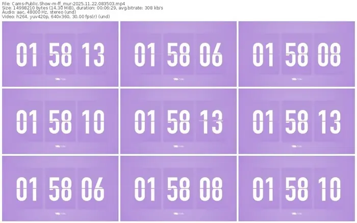 cams-ff_mur-11-22-2025-08-35-03