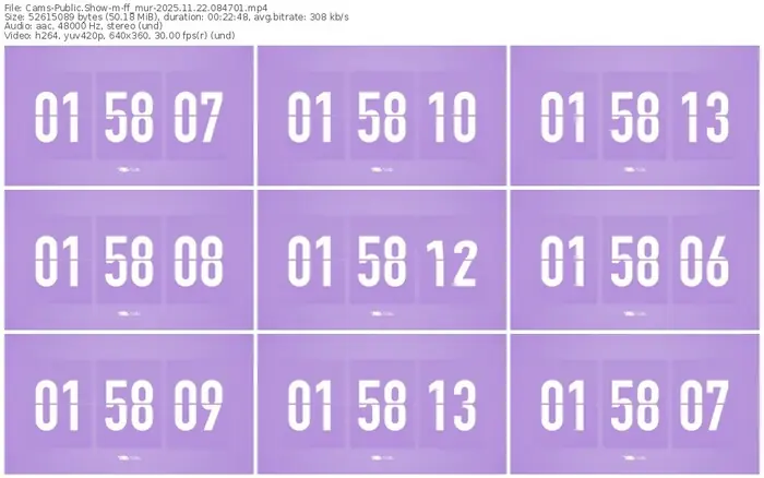 cams-ff_mur-11-22-2025-08-47-01