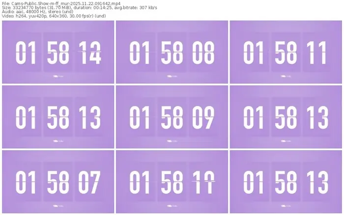 cams-ff_mur-11-22-2025-09-16-42