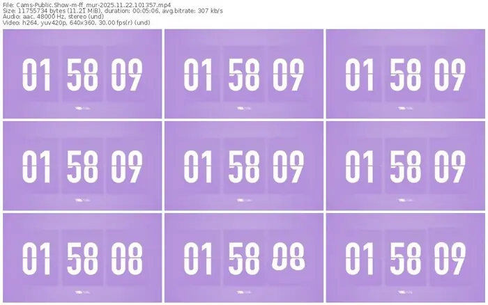 cams-ff_mur-11-22-2025-10-13-57