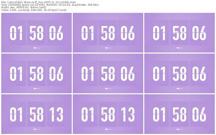 cams-ff_mur-11-22-2025-10-34-41