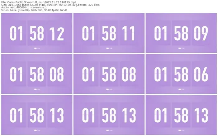 cams-ff_mur-11-22-2025-11-01-49