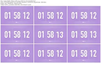 cams-ff_mur-11-22-2025-11-20-38