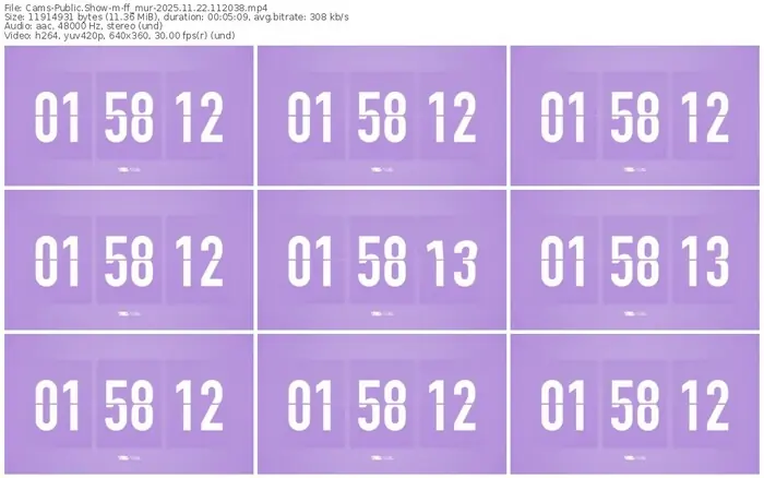 cams-ff_mur-11-22-2025-11-20-38