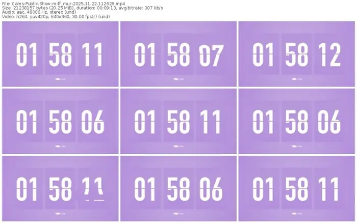 cams-ff_mur-11-22-2025-11-26-26