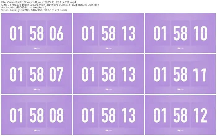 cams-ff_mur-11-22-2025-11-48-51