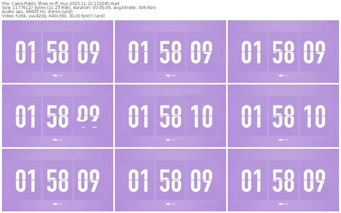 cams-ff_mur-11-22-2025-12-20-45