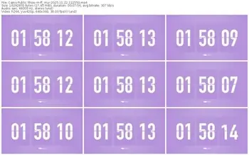 cams-ff_mur-11-22-2025-12-25-53