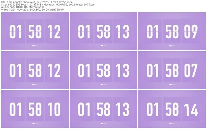 cams-ff_mur-11-22-2025-12-25-53