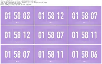 cams-ff_mur-11-22-2025-13-26-06