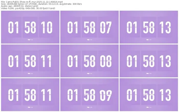 cams-ff_mur-11-22-2025-14-08-16