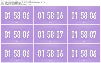 cams-ff_mur-11-22-2025-14-25-48