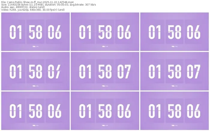 cams-ff_mur-11-22-2025-14-25-48