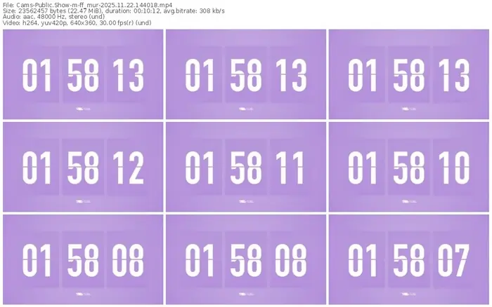 cams-ff_mur-11-22-2025-14-40-18
