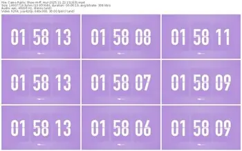 cams-ff_mur-11-22-2025-15-18-35