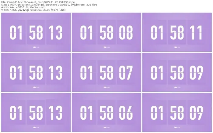 cams-ff_mur-11-22-2025-15-18-35