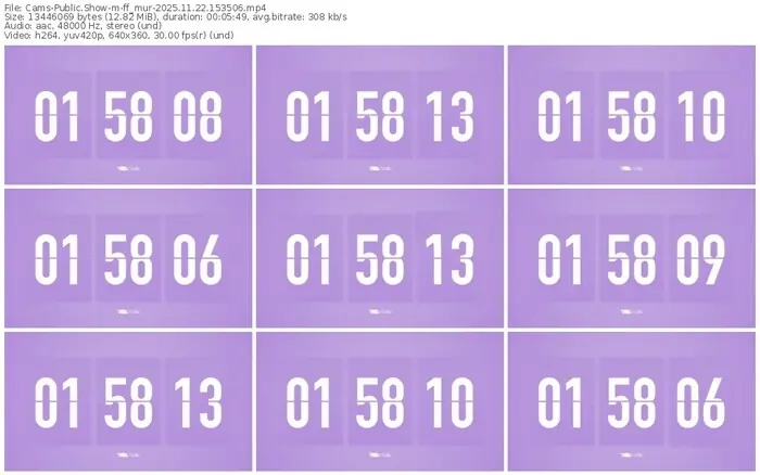 cams-ff_mur-11-22-2025-15-35-06