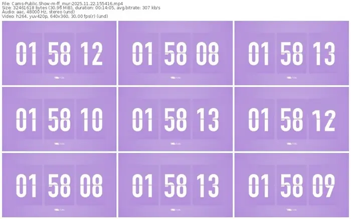 cams-ff_mur-11-22-2025-15-54-16