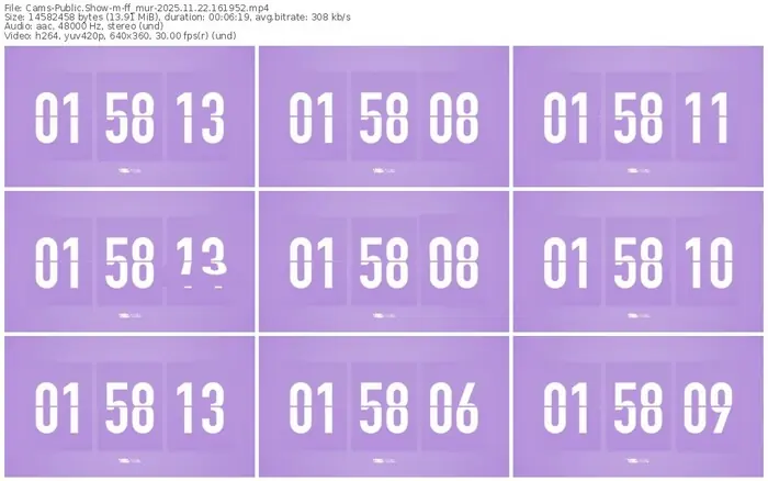 cams-ff_mur-11-22-2025-16-19-52