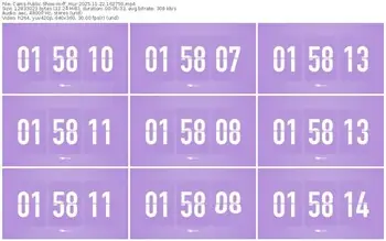 cams-ff_mur-11-22-2025-16-27-59