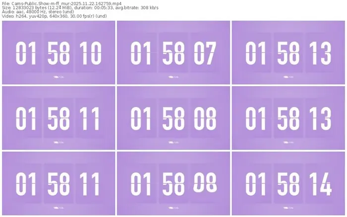 cams-ff_mur-11-22-2025-16-27-59