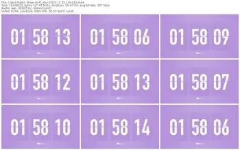 cams-ff_mur-11-22-2025-16-41-43