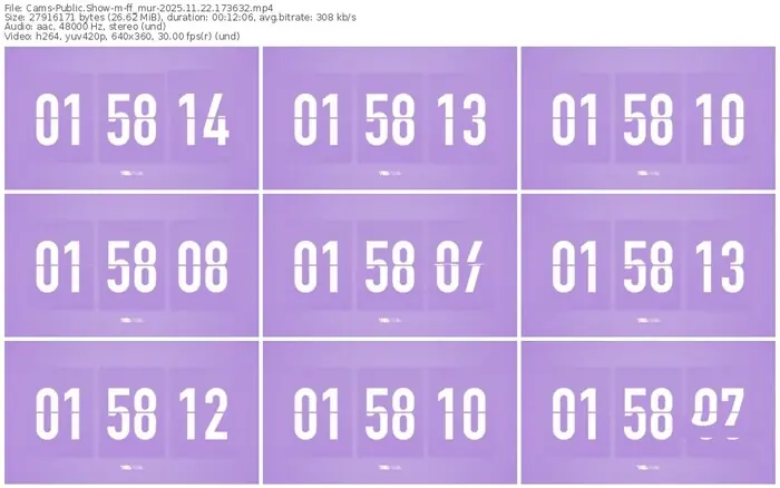 cams-ff_mur-11-22-2025-17-36-32