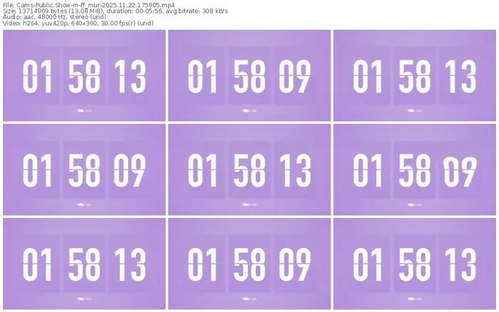 cams-ff_mur-11-22-2025-17-59-05