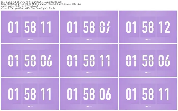 cams-ff_mur-11-22-2025-18-05-38