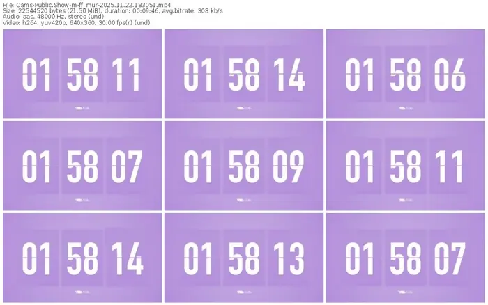 cams-ff_mur-11-22-2025-18-30-51