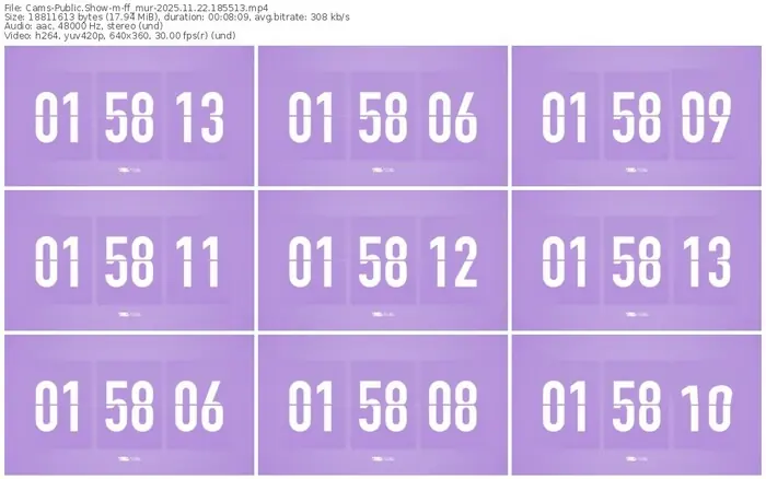 cams-ff_mur-11-22-2025-18-55-13