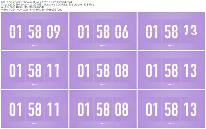 cams-ff_mur-11-22-2025-19-05-24