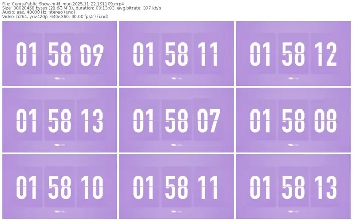 cams-ff_mur-11-22-2025-19-11-09