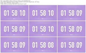 cams-ff_mur-11-22-2025-20-26-08