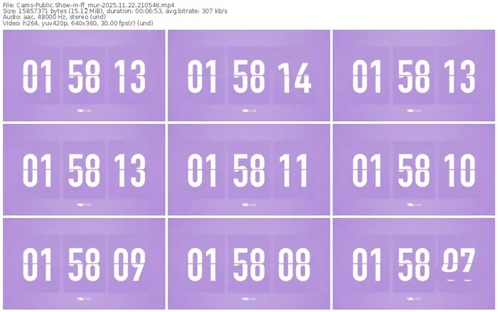 cams-ff_mur-11-22-2025-21-05-46