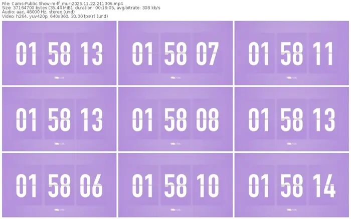 cams-ff_mur-11-22-2025-21-13-06