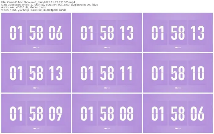 cams-ff_mur-11-22-2025-22-16-05