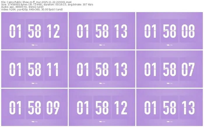 cams-ff_mur-11-22-2025-22-33-01