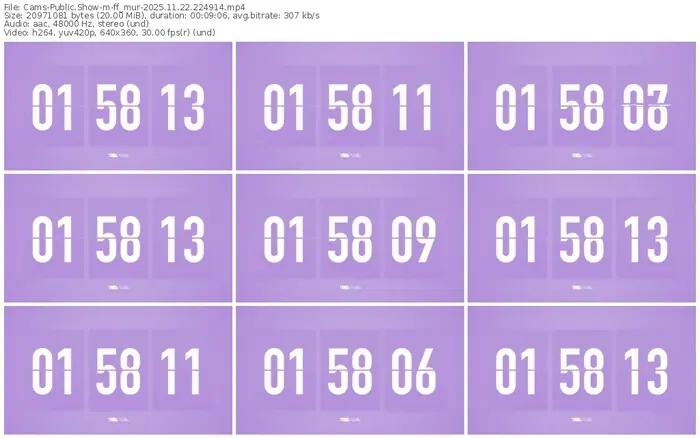 cams-ff_mur-11-22-2025-22-49-14