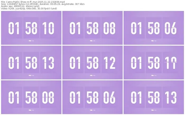 cams-ff_mur-11-22-2025-23-28-39