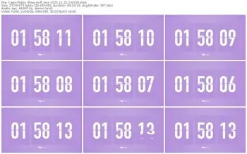 cams-ff_mur-11-22-2025-23-43-29