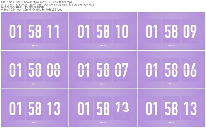 cams-ff_mur-11-22-2025-23-43-29