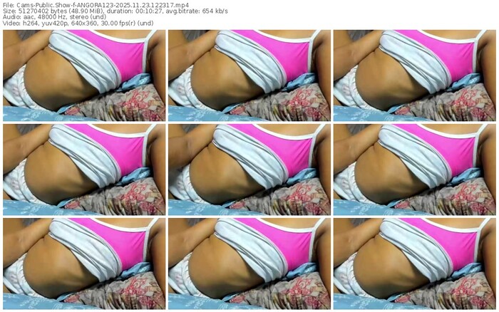 cams-angora123-11-23-2025-12-23-17