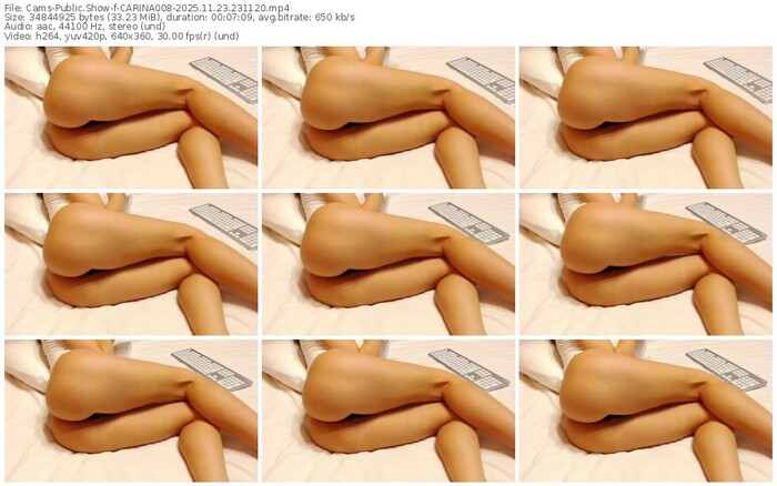 cams-carina008-11-23-2025-23-11-20