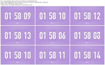 cams-ff_mur-11-23-2025-00-16-03