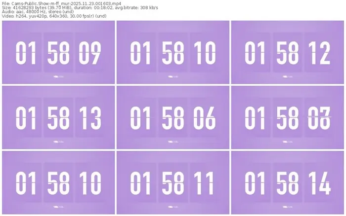 cams-ff_mur-11-23-2025-00-16-03