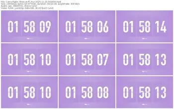 cams-ff_mur-11-23-2025-00-34-04