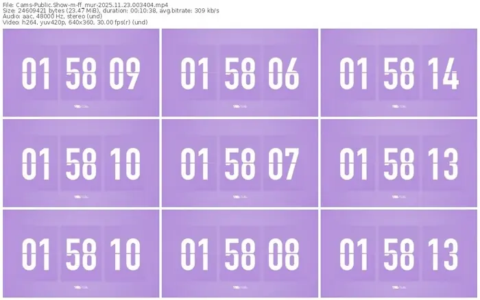 cams-ff_mur-11-23-2025-00-34-04